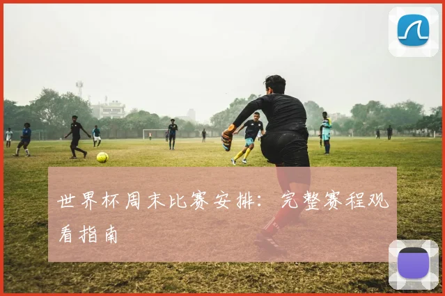 世界杯周末比赛安排：完整赛程观看指南